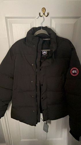 Canada goose black down - goose, puffer