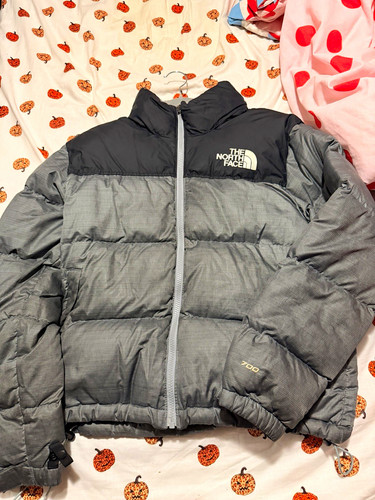 The north face 1996 - the, retro